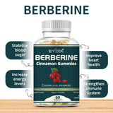 Biyode OEM ODM Wholesale Berberine Cinnamon Herbal Extract Gummies Natural Daily Wellness Support