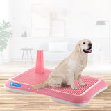 Potty Bucket Teddy VIP Cleaning Toilet Supplies