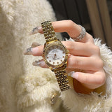 Steel Watch Women's Watch