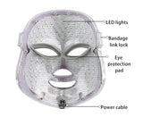 LED Facial Beauty Instrument