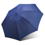 Auto folding umbrella