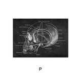 Canvas Painting Of Human Anatomy Skeleton Organ System