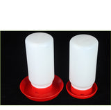 The Bird Feeds The Water Bottle To The Pigeon With A Waterer