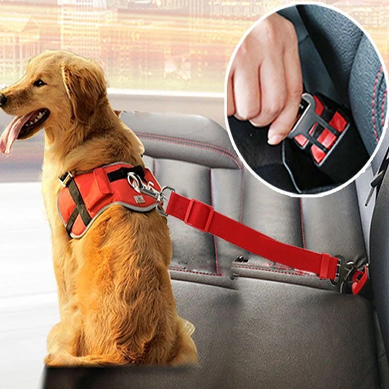 Adjustable Pet Cat Dog Car Seat Belt Pet Seat Vehicle Dog Harness Lead Clip Safety Lever Traction Dog Collars Dogs Accessoires Pets Products Adjustable Pet Cat Dog Car Seat Belt Pet Seat Vehicle Dog Harness Lead Clip Safety Lever Traction Dog Collars Dogs Accessoires Pets Products