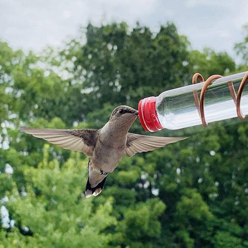 Garden Bird Feeder Supplies Hummingbird Feeder Drinker Suction Cup Easy To Clean Deck Garden Decor Bird Feeders for Wild Birds Garden Bird Feeder Supplies Hummingbird Feeder Drinker Suction Cup Easy To Clean Deck Garden Decor Bird Feeders for Wild Birds