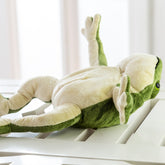 Children's Gifts, Dolls, Plush Fabric Toys, Environmentally Friendly Animals, Frog Size