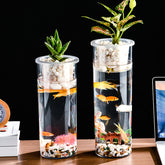 Living Room Micro Landscape Desktop Ecological Pot Transparent Plastic Creative Decoration Fish Tank