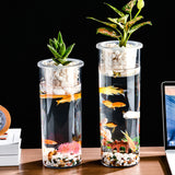 Living Room Micro Landscape Desktop Ecological Pot Transparent Plastic Creative Decoration Fish Tank