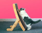 Тахтаи харошидан аз гурба ба шакли сохташуда