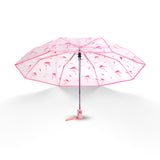 Folding Umbrella Fully Automatic Umbrella Transparent Multi Color