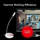 Desktop computer microphone