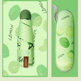 Small Fruit Umbrella Pocket Umbrella Vinyl Model