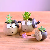 Desktop Mini Lovely Hazelnut Rough Pottery Flower Pot