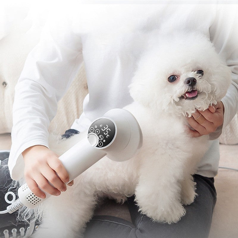 Smart Pet Hair Dryer Dog Golden Retriever Cat Grooming Hairdressing Blow & Comb Silent No Harm Pet Cleaning Supplies Pet Products Smart Pet Hair Dryer Dog Golden Retriever Cat Grooming Hairdressing Blow & Comb Silent No Harm Pet Cleaning Supplies Pet Products