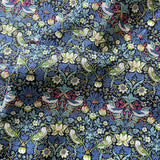 Fiber Cotton Strawberry Clothing Shirt Dress Fabric