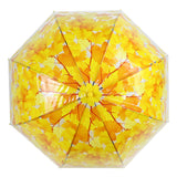 Long Handle Transparent Umbrella Painted Umbrella Maple Leaf Umbrella