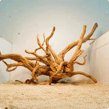 Xiaoqi Root Fish Tank Scenery Decoration Ornaments