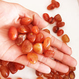 Carnelian Rough Stone Crystal Ornaments Mineral Specimen Rough Stone