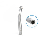 Standard press on dental cell phone