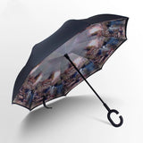 Car reverse umbrella