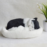 Decoration Creative Birthday Gifts Creative Gifts Crafts Cats That Breathe