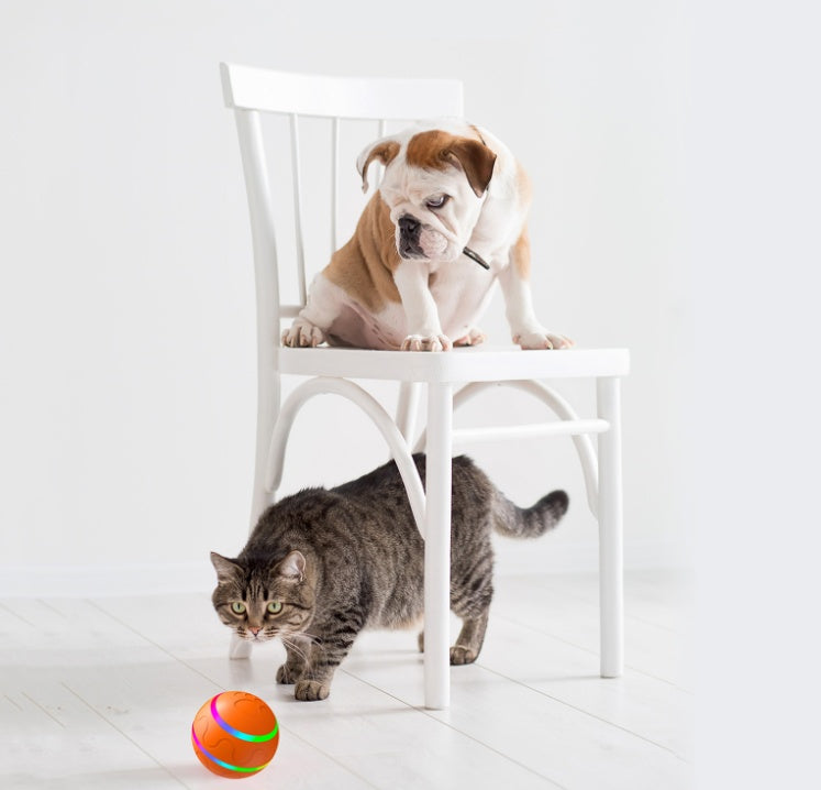 Pet New Cat Wicked Ball Toy Intelligent Ball USB Cat Toys Self Rotating Ball Automatic Rotation Ball Pet New Cat Wicked Ball Toy Intelligent Ball USB Cat Toys Self Rotating Ball Automatic Rotation Ball
