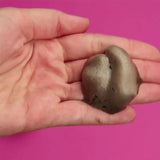 Tanning Mousse Nutrition Moisturizing Skin Wheat Color Sun Tanning Mousse Black Milk