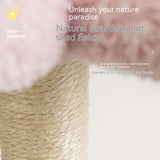 Чорчубаи гурба кӯҳнавардӣ Cat Nest Cat Tree Интегралӣ офтобпарасти хурд ва миёна
