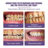 Purple Dental Powder Oral Care Cleaning Tartar Calculus