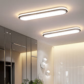 Simple Modern Ceiling Lamp