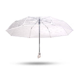 Folding Umbrella Fully Automatic Umbrella Transparent Multi Color