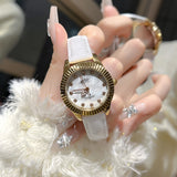 Steel Watch Women's Watch