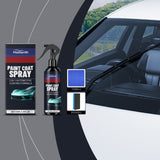 Car 3-in-1 Ceramic Paint Spray