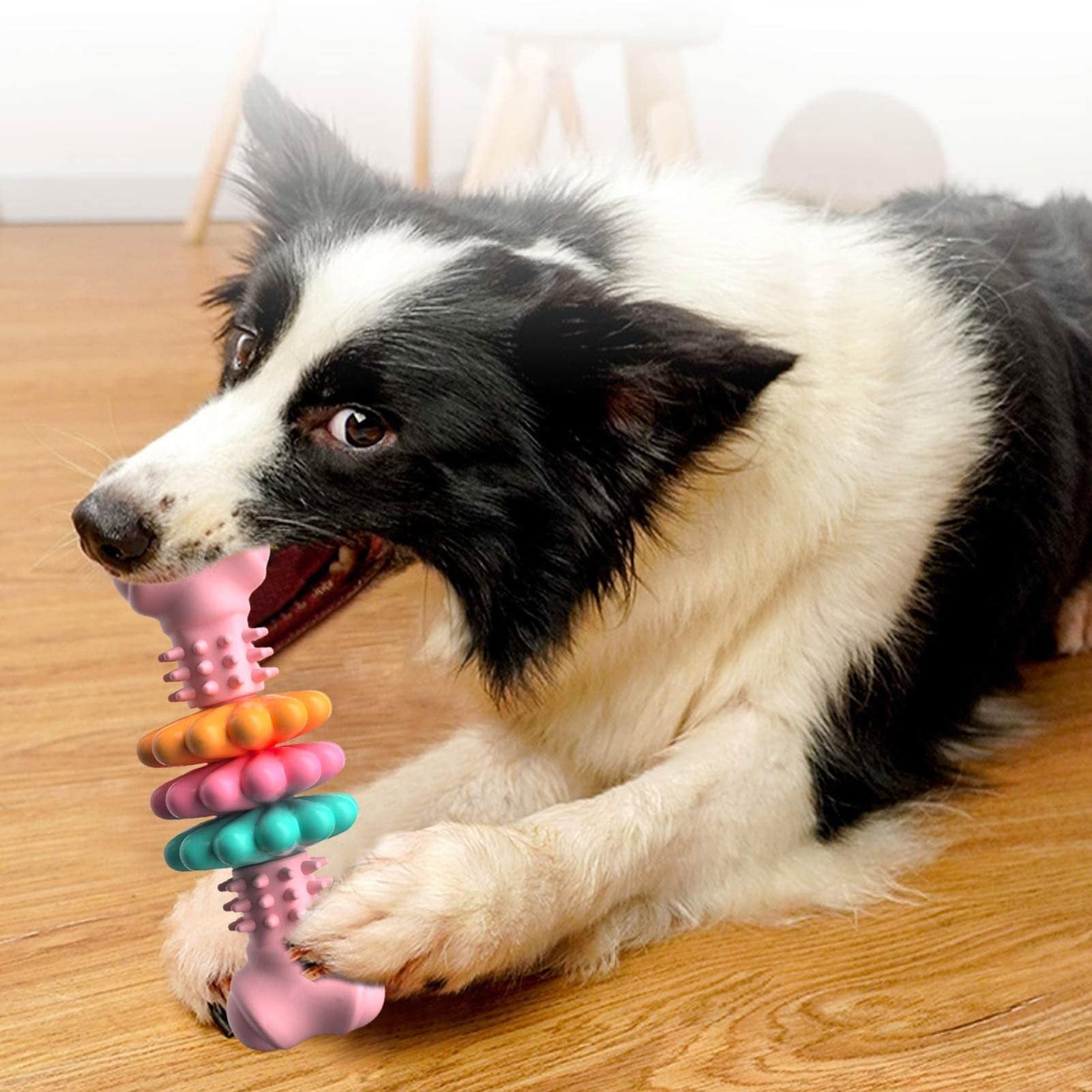 Dog Chew Toy Dog Bone Type  Dogs Teeth Cleaning Toys Indestructible TPR Bone Chewing Bite Resistant Teething Toys  Pet Products Dog Chew Toy Dog Bone Type  Dogs Teeth Cleaning Toys Indestructible TPR Bone Chewing Bite Resistant Teething Toys  Pet Products