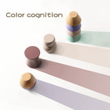 Building Blocks Animal Stacking Balance Wood Educational Toys