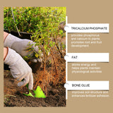 Plant Nutrition Powder Growth Of Flowers And Plants