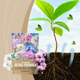 Plant Nutrition Powder Growth Of Flowers And Plants