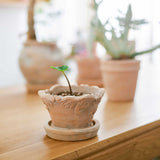Handmade Small Pottery Pot With Tray Pottery Clay Breathable Flowerpot