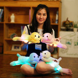 Glowing puppy doll stuffed animal