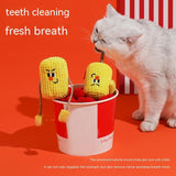 Cat Polygonum Multiflorum Toy Tooth Cleaning Mint Molar Rod Pet Supplies