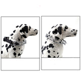 Pet Supplies Amazon's New Dog Stimulating Chain For Dog Training