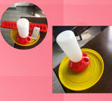 The Bird Feeds The Water Bottle To The Pigeon With A Waterer