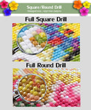 HOMFUN 5D Diamond Pattern Rhinestone Needlework Diy Diamond Painting Cross Stitch  Diamond Embroidery