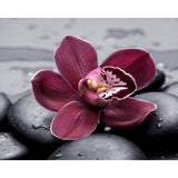 Digital  Flowers DIY Oil Painting For Adult Painting