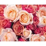 Digital  Flowers DIY Oil Painting For Adult Painting