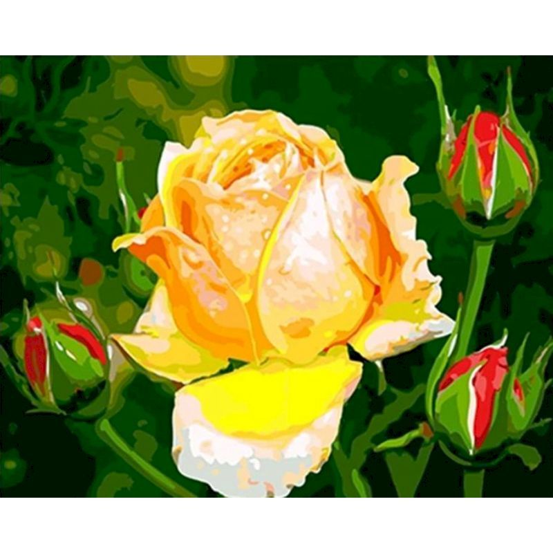 Digital  Flowers DIY Oil Painting For Adult Painting