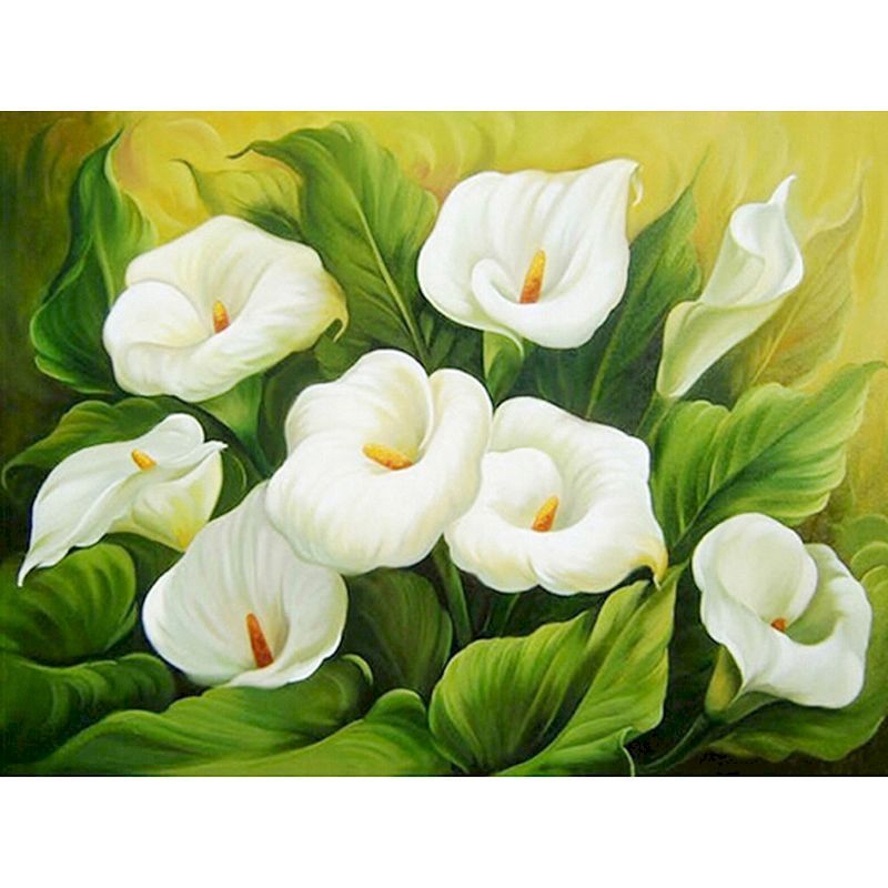 Digital  Flowers DIY Oil Painting For Adult Painting
