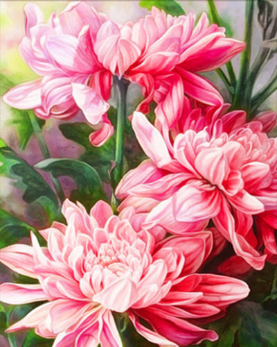 Digital  Flowers DIY Oil Painting For Adult Painting