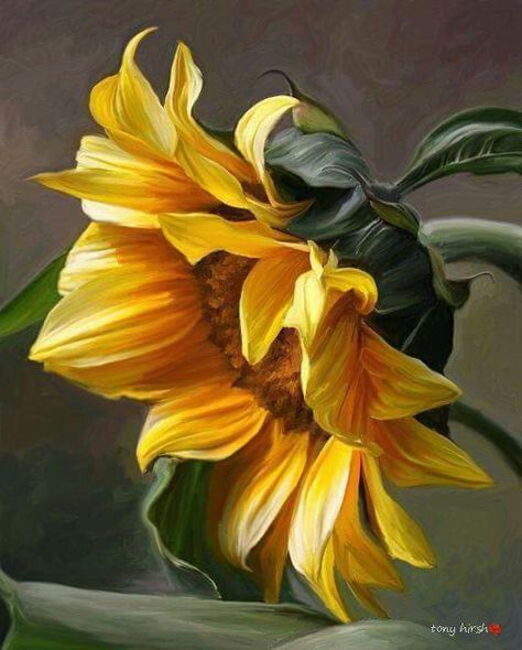 Digital  Flowers DIY Oil Painting For Adult Painting