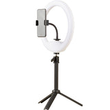 Small Portable Camera And Video Lighting